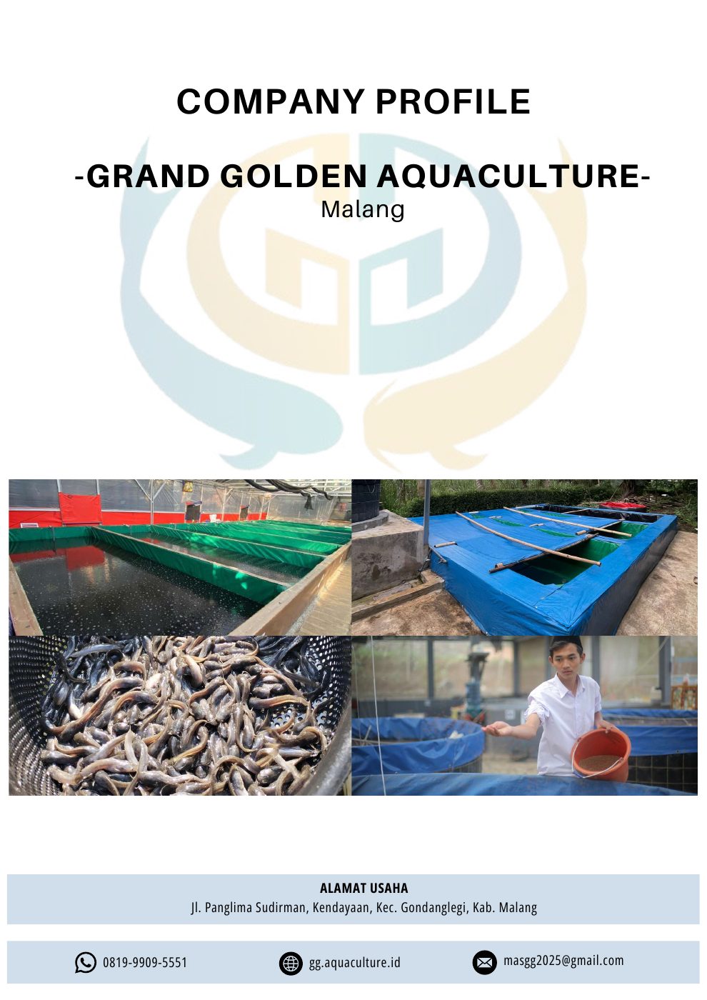 Profil visual Grand Golden Aquaculture
